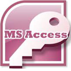 Microsoft Access data system programmer Monroe LA